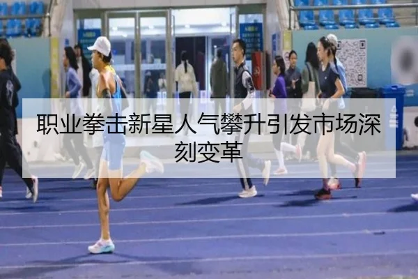 职业拳击新星人气攀升引发市场深刻变革